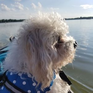 Meet your Posher, Cindy